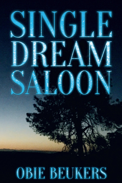 Single Dream Saloon by Obie Beu